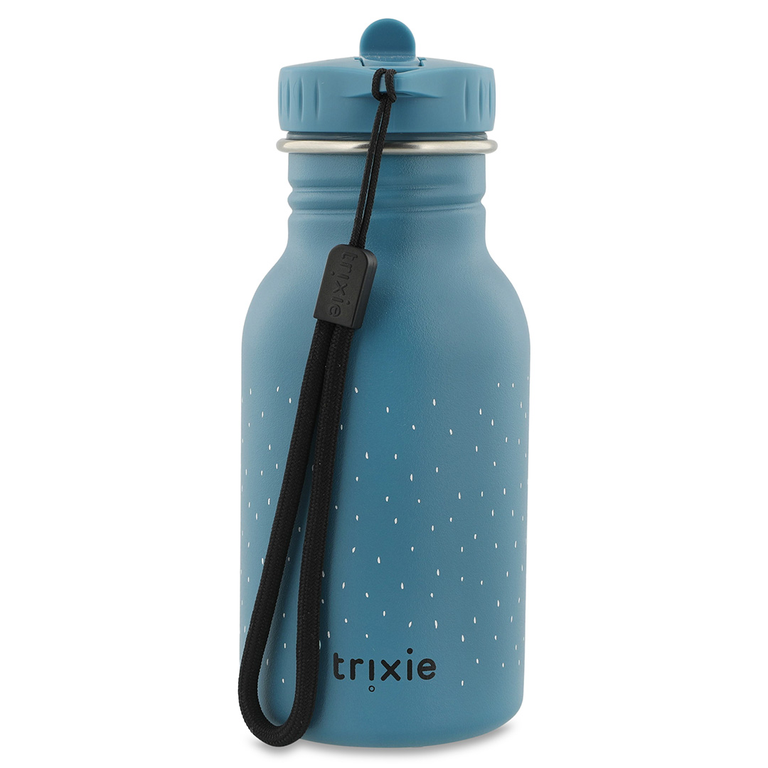 Trinkflasche 350ml - Mr. Triceratops